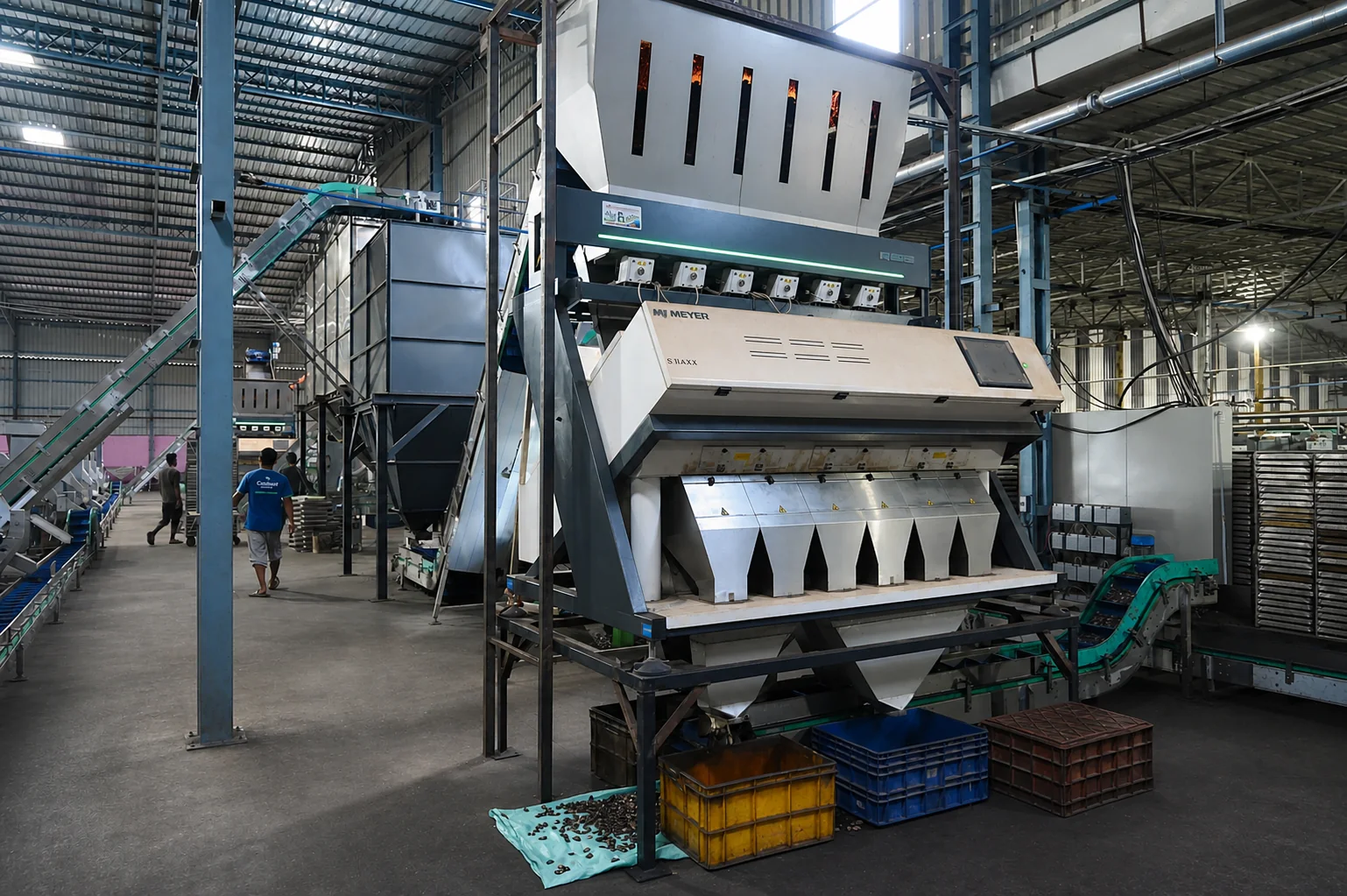 Optical cashew sorting equipment