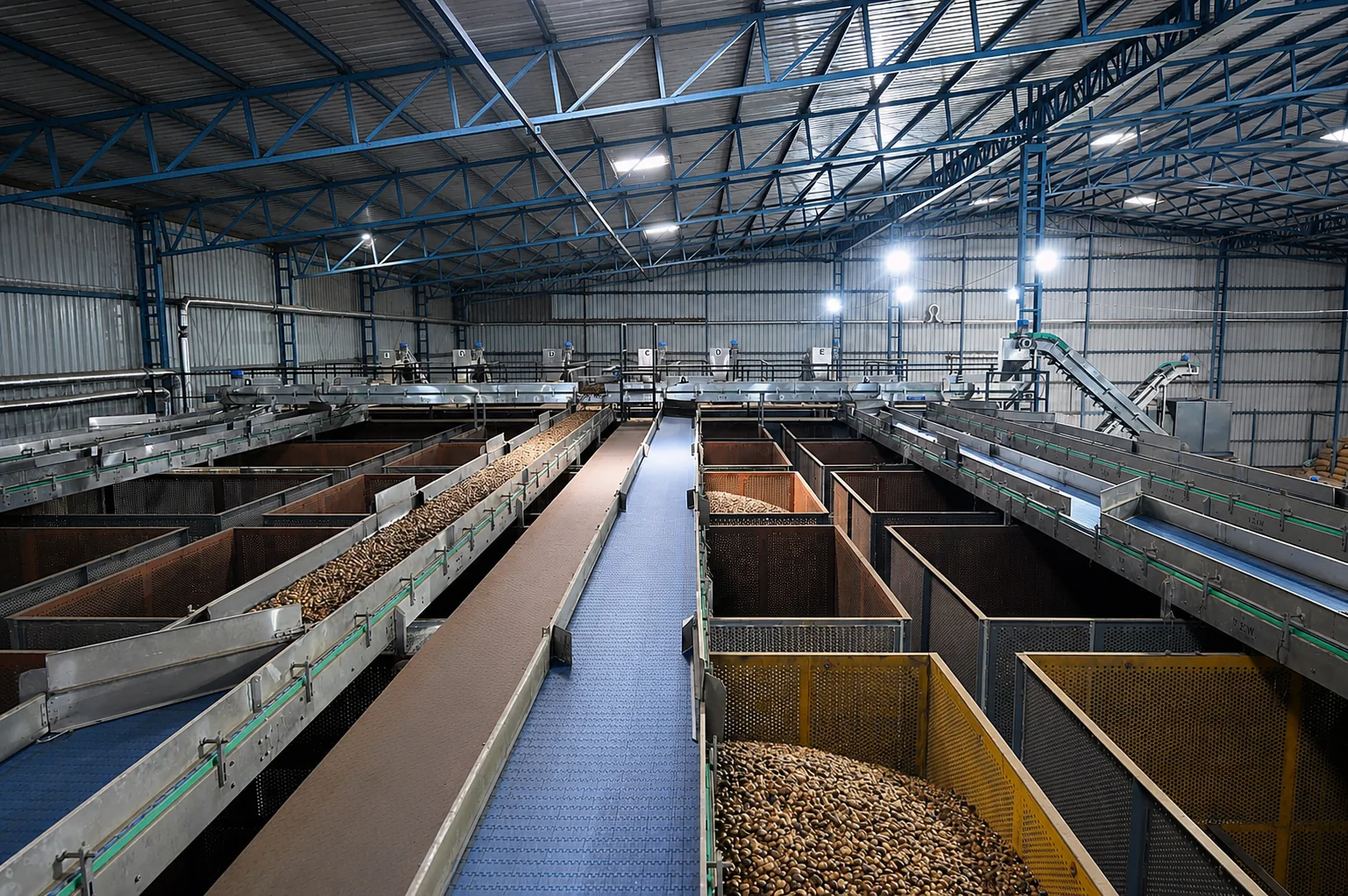 Raw cashews received for processing