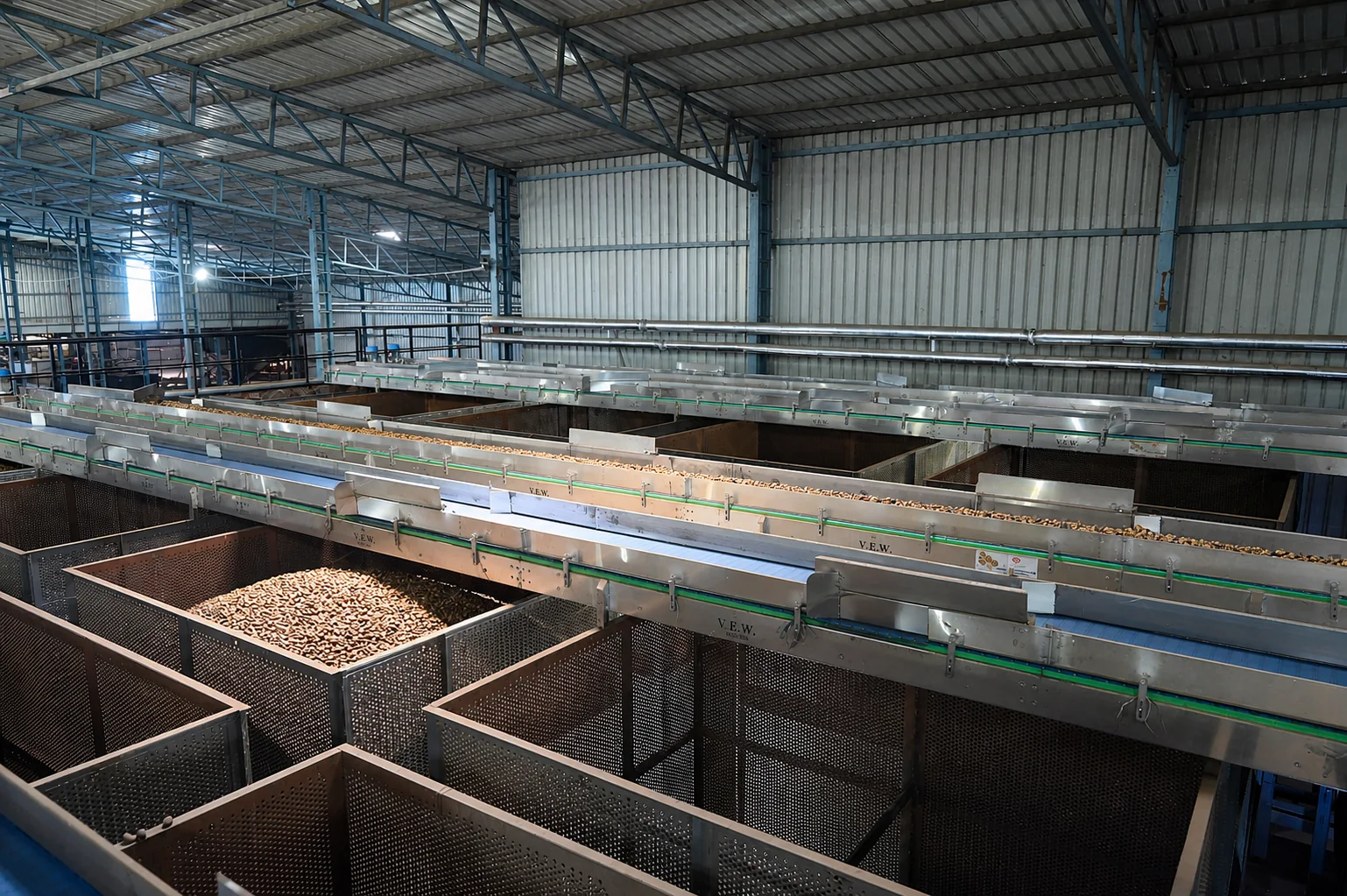 Cashew sorting line